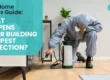 building and pest inspection